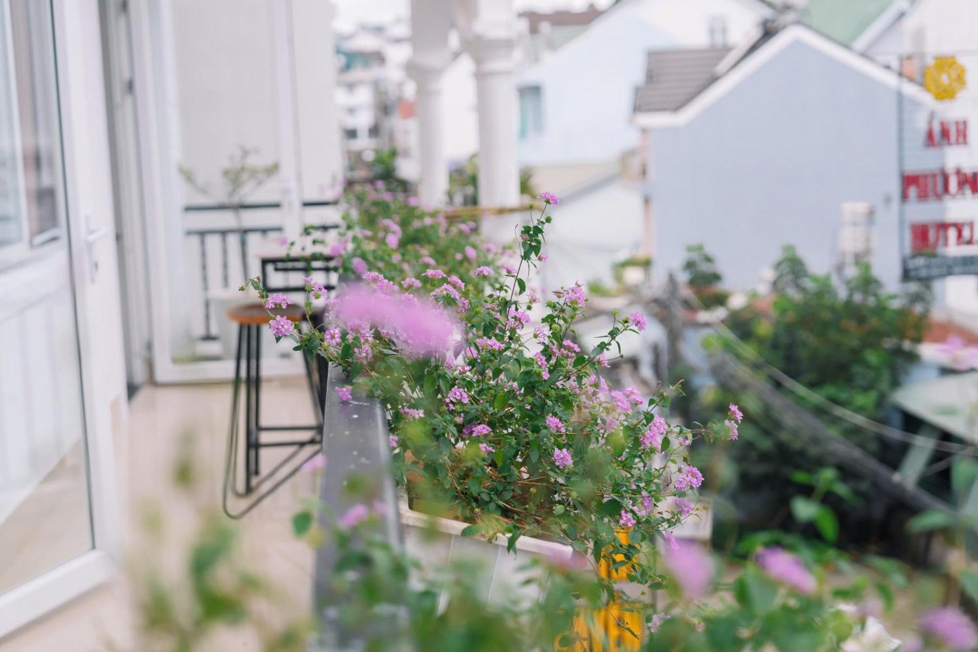 Cherry House Da Lat Zewnętrze zdjęcie